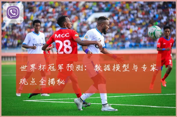 世界杯冠军预测：数据模型与专家观点全揭秘